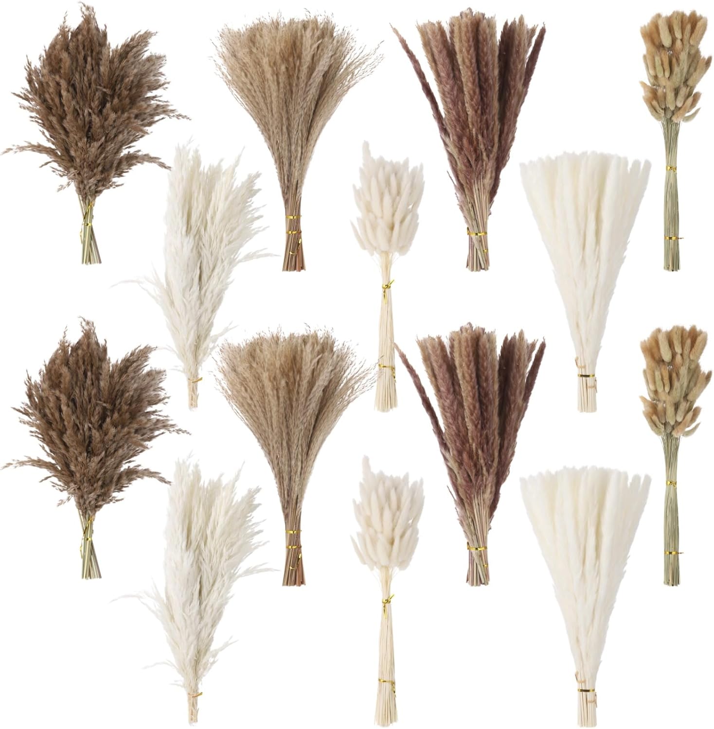 610 Pcs Dried Pampas Grass Bouquet - Natural Pampas & Bunny Tail Grass, Bohemian Home Decor, Ideal for Wedding, Table, and Living Room Styling