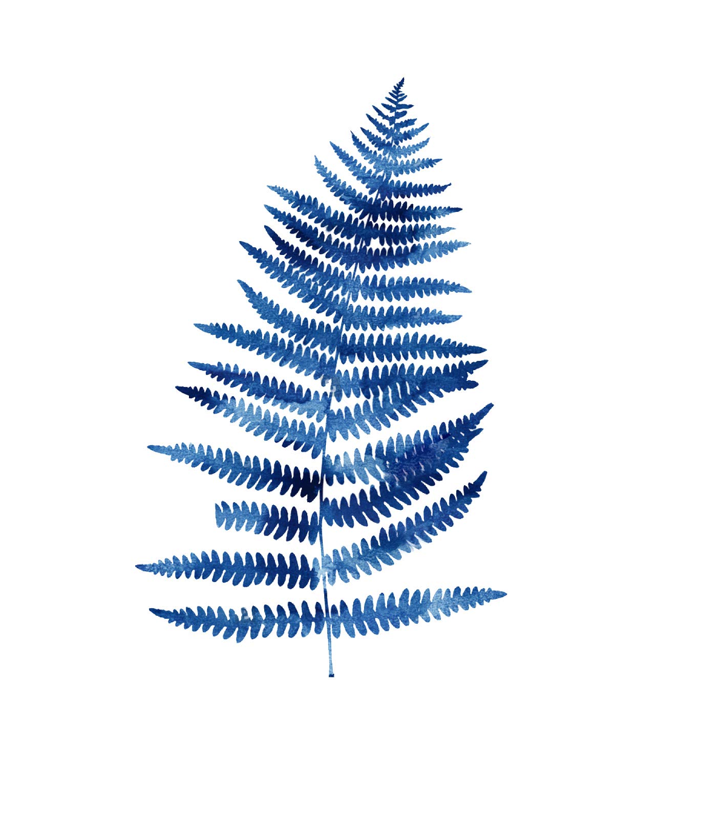 Nema Creeper Boston fern Seeds-Blue-50Pcs (B07SK6HPP2) Amazon Price History, Amazon Price Tracker