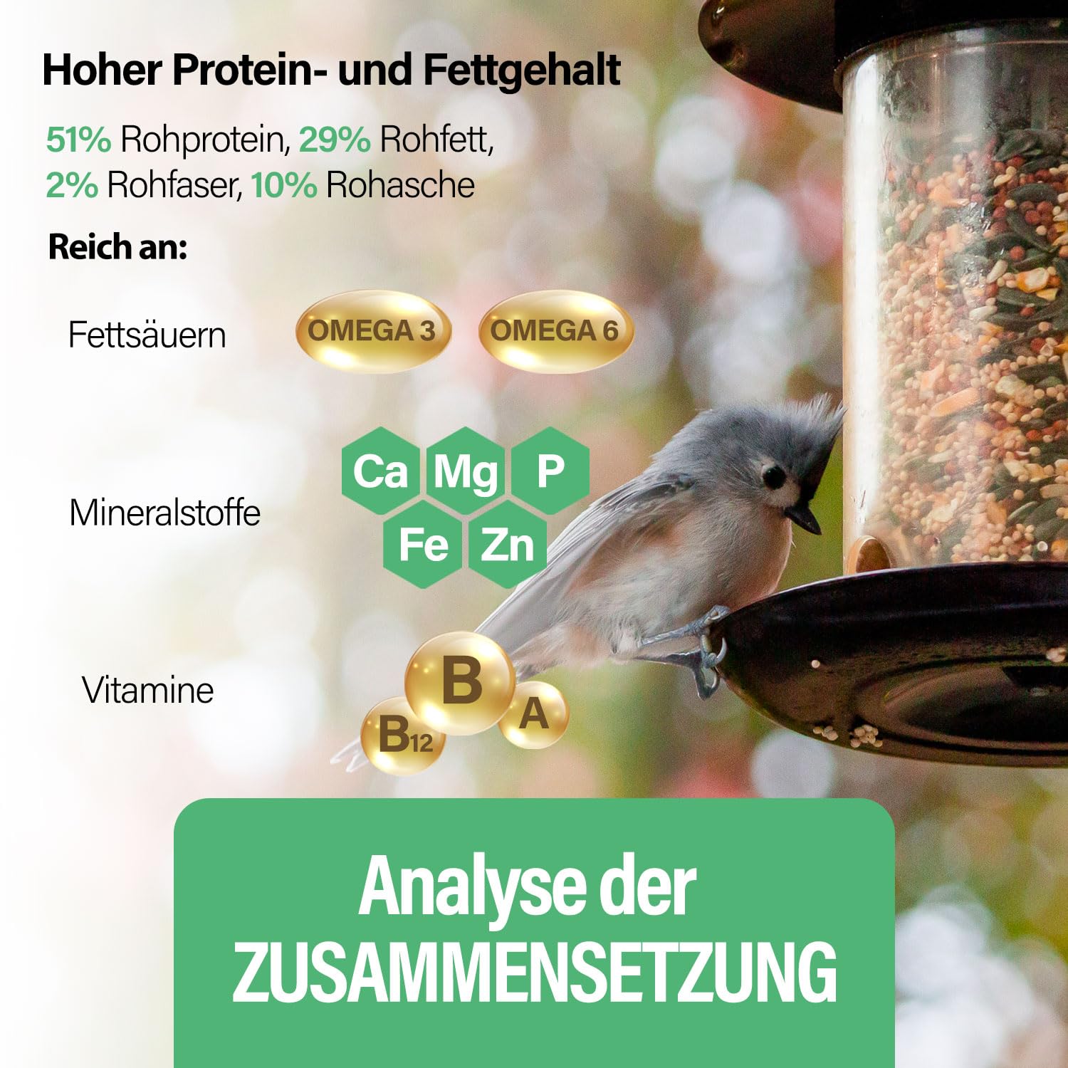 Mączniaki suszone, 1 kg, 6,5 l, naturalna karma dla dzikich ptaków przez cały rok, karma dla ryb, staw, wysoka zawartość białka, kwasy tłuszczowe Omega-3, neutralny zapach, niska zawartość