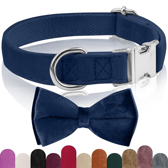 KTWSUEF Collar Perro Terciopelo, con Pajarita Perro Desmontable