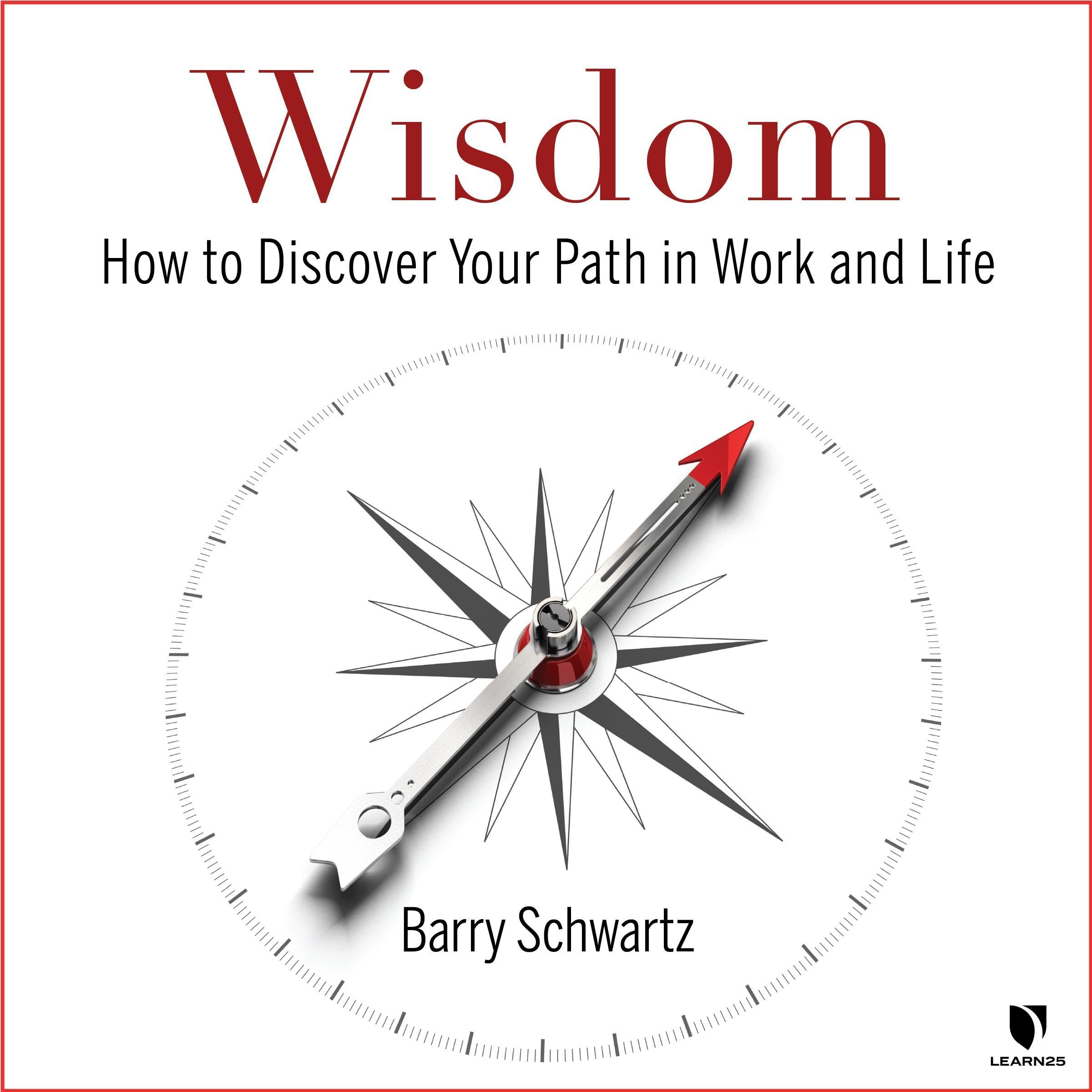 Cover art for Wisdom: How to Discover Your Path in Work and Life