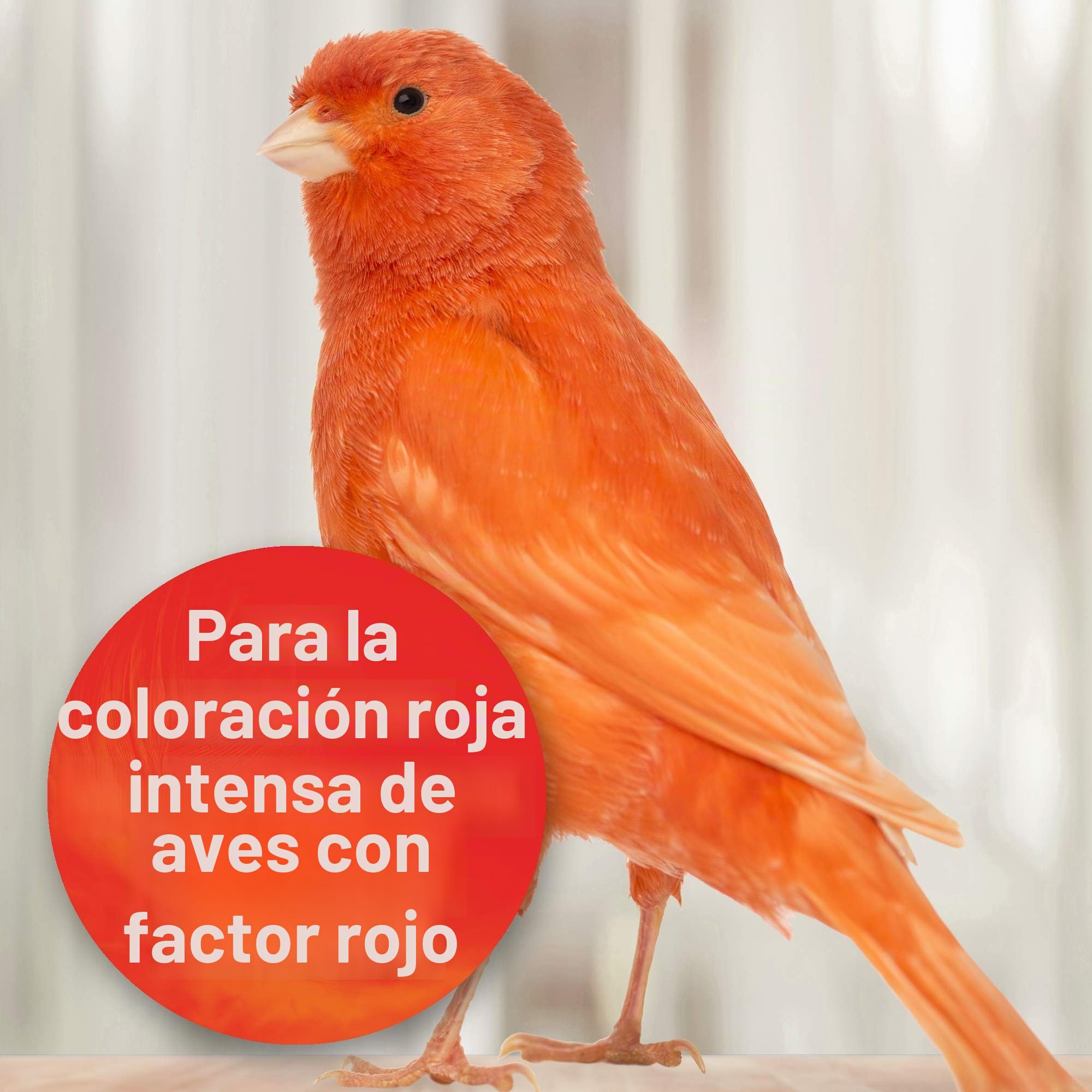 Quiko Intensive Rojo 500g Alimento complementario para aves - Coloración y intensificación del plumaje
