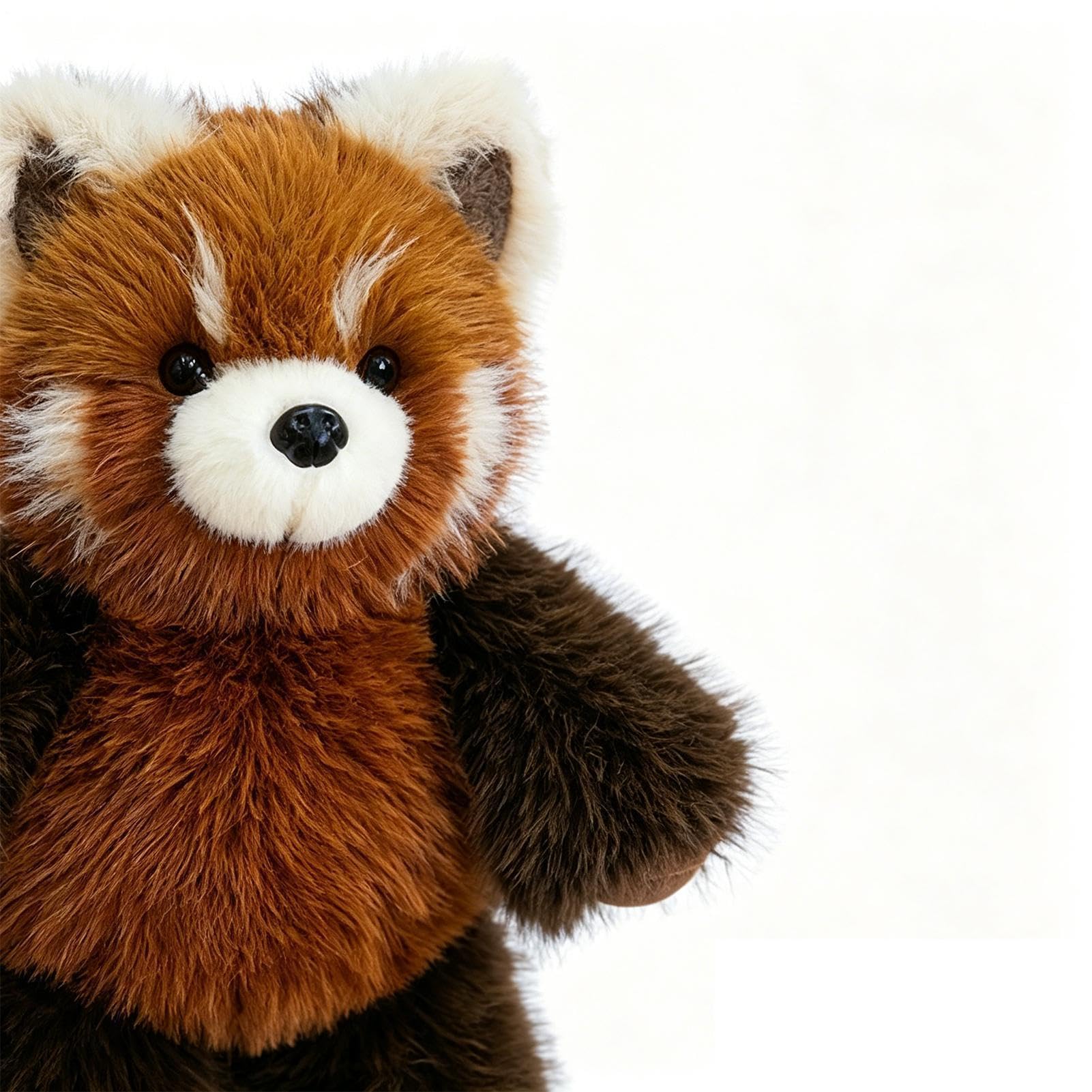 Peluche Di Procione Decorazione Per La Casa Morbida Realistica E Carina 55 | Peluche Animale per Bambini Per Bambini Adulti Divano Poltrona Casa Ufficio Cameretta Camera Da Soggiorno Auto
