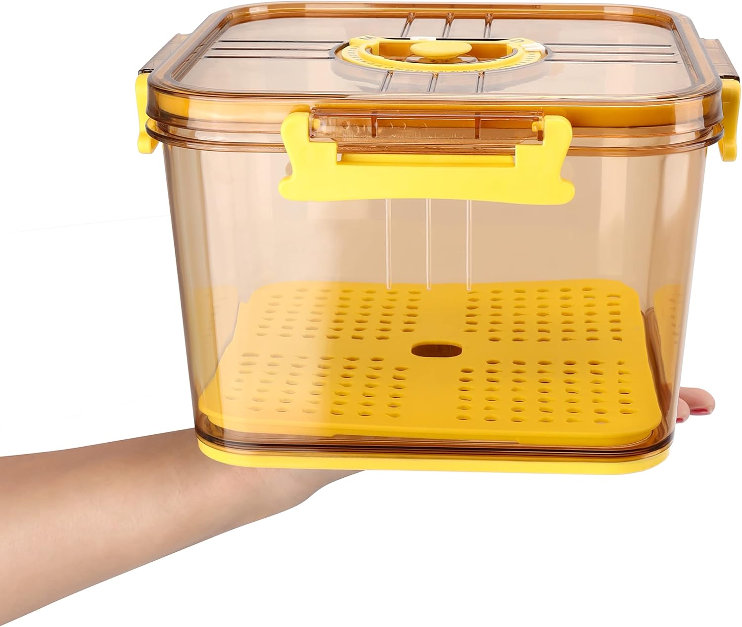 Kurtzy Kitchen Fridge/Cupboard Storage Box with Freshness Time Recorder