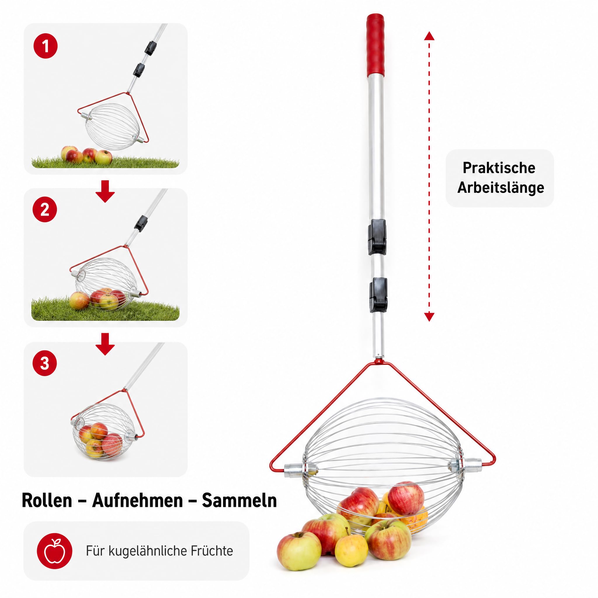 Apfel-Sammler mit Teleskopstab- der Roll-Blitz die kleinste Obstaufsammelmaschine der Welt direkt vom Hersteller für Apfel, Birnen