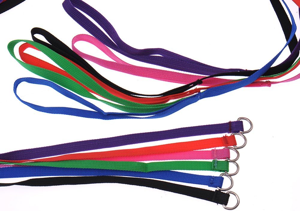 dog slip leads bulk