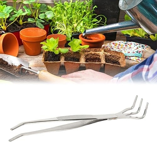 Miniatura 4 de Fdit Herramientas de bonsái de acero inoxidable 2 en 1, herramienta de jardinería, pinzas de rastrillo de raíz para plantador de bonsái