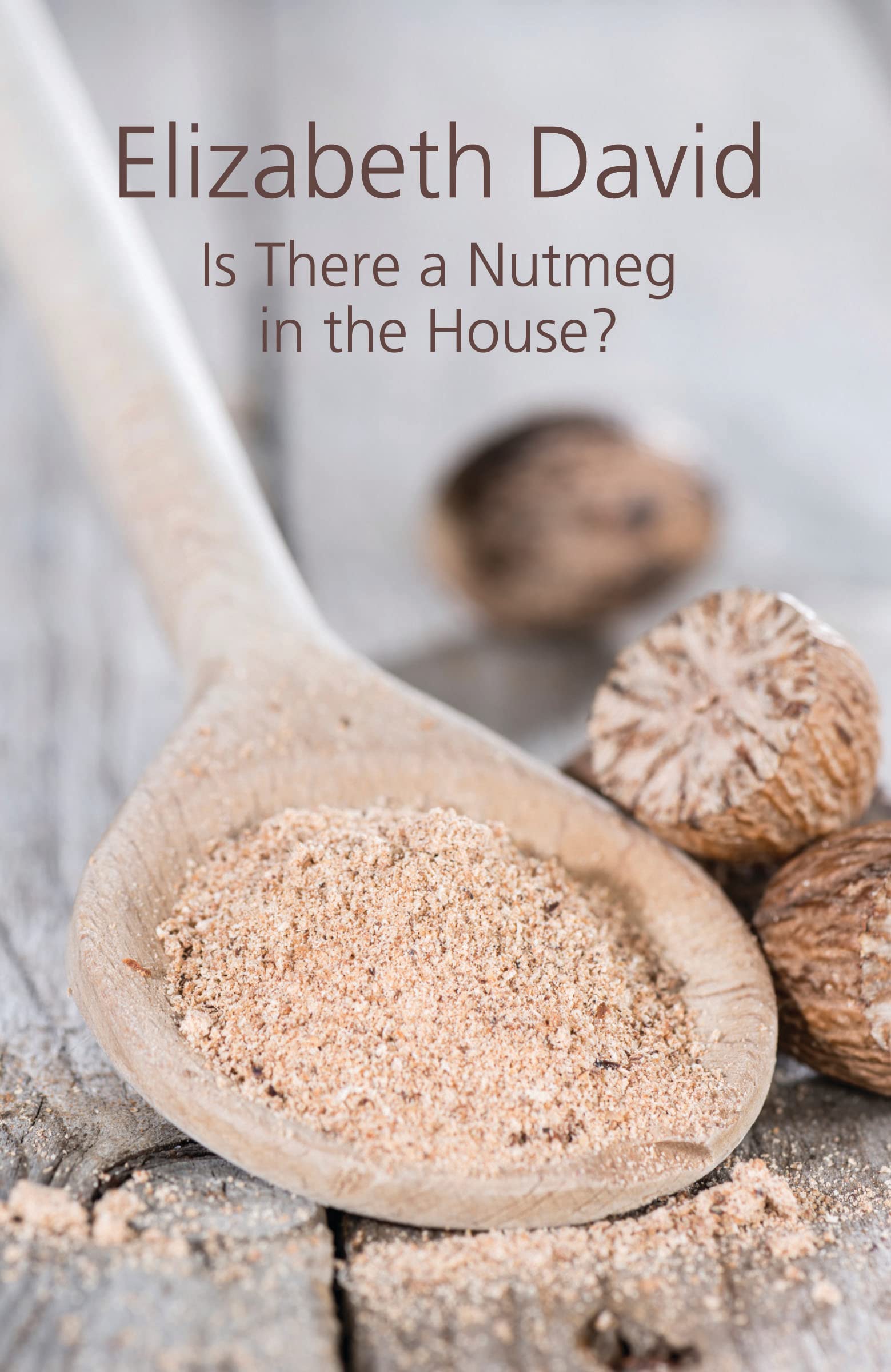 2016 Elizabeth David Is There a Nutmeg in the House? Cookbook & Recipe Canada bo