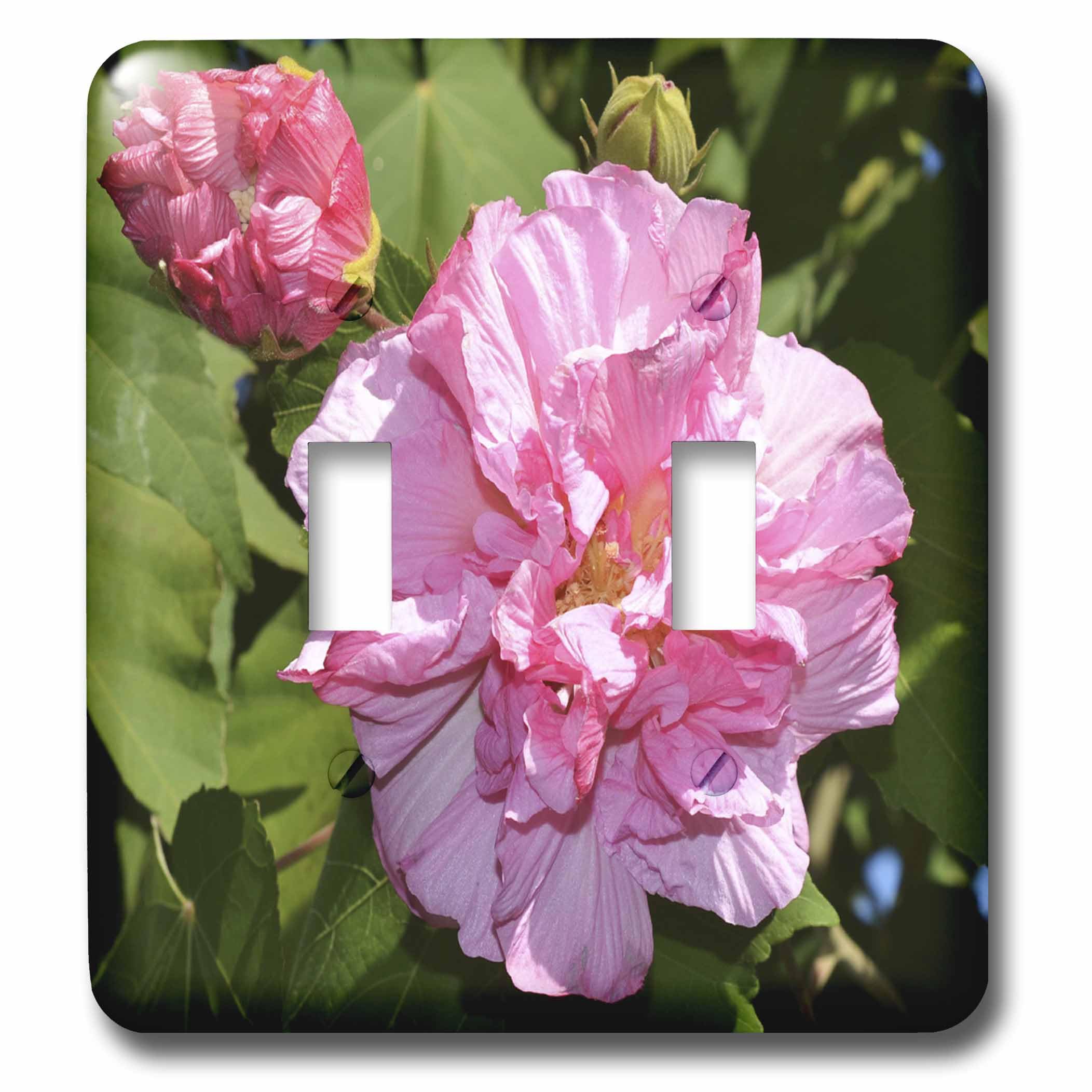 Interruptor multicolor Rose of Sharon 3dRose lsp_34614_2 decorativo para pared