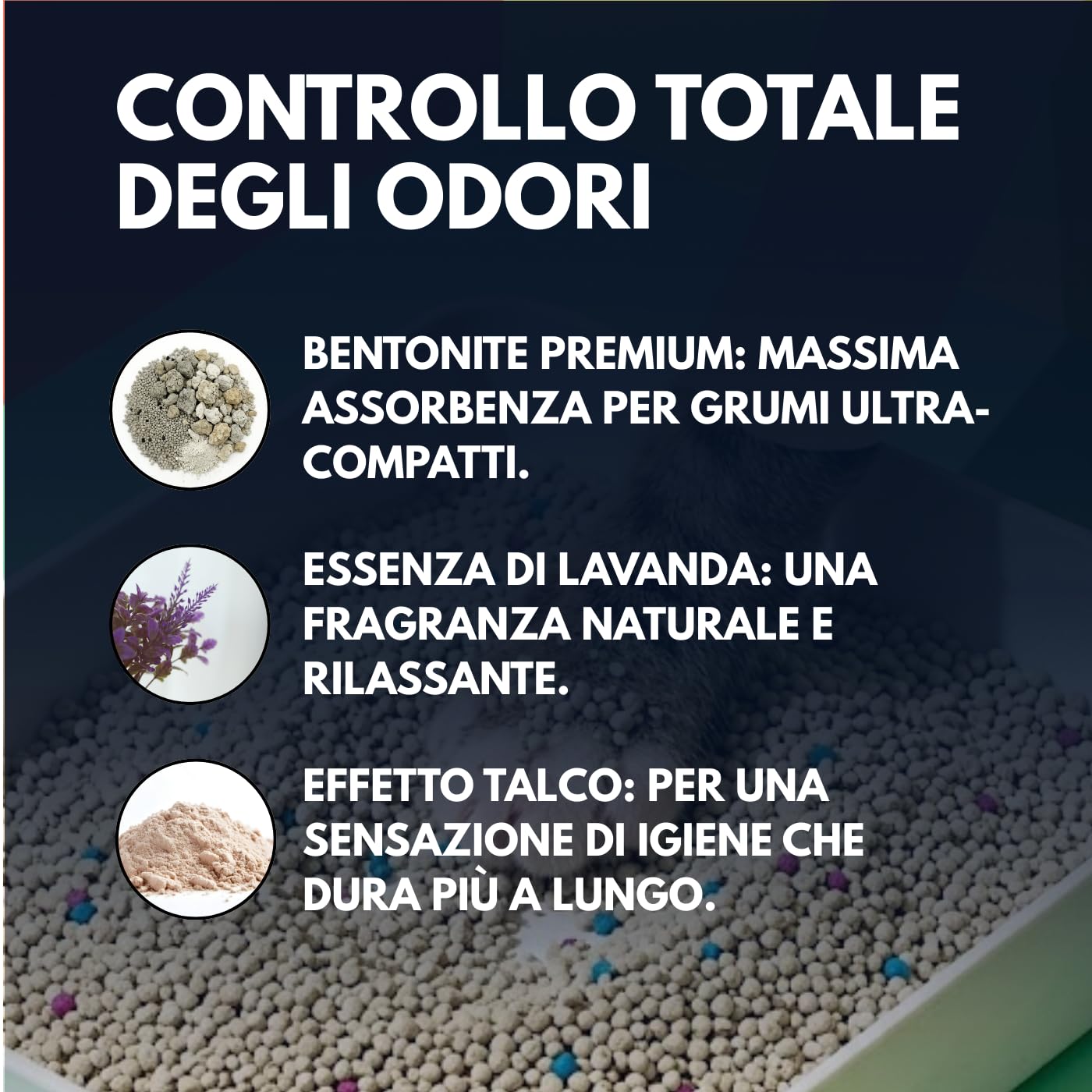 MOLY X6 Sabbia per gatti Bentonite con carbonio attivo 16,8 kg 22,2 l | Sabbia agglomerante ad alta assorbimento con aroma di lavanda e talco | Controllo totale degli odori | Senza polvere | Lecho