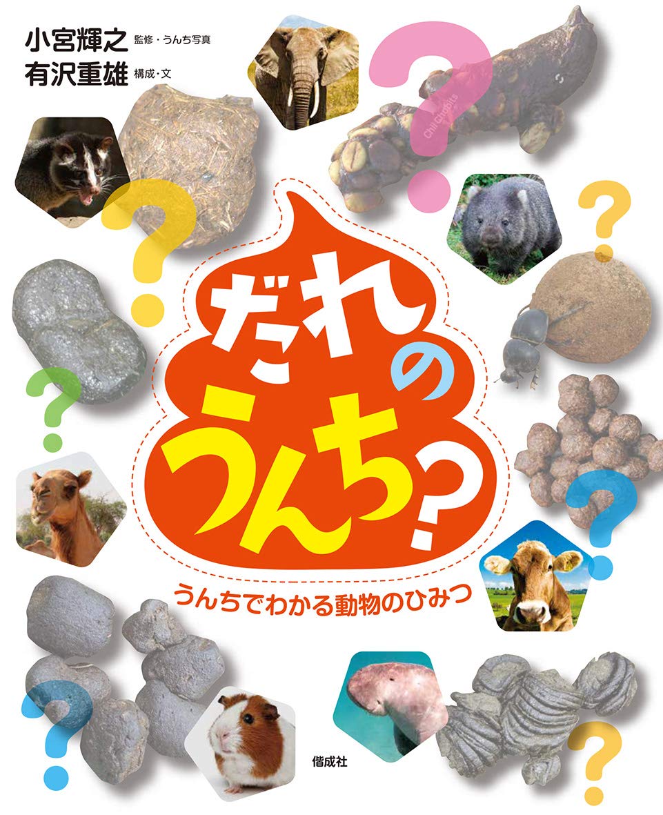 だれのうんち うんちでわかる動物のひみつ 小宮輝之 有沢重雄 本 通販 Amazon