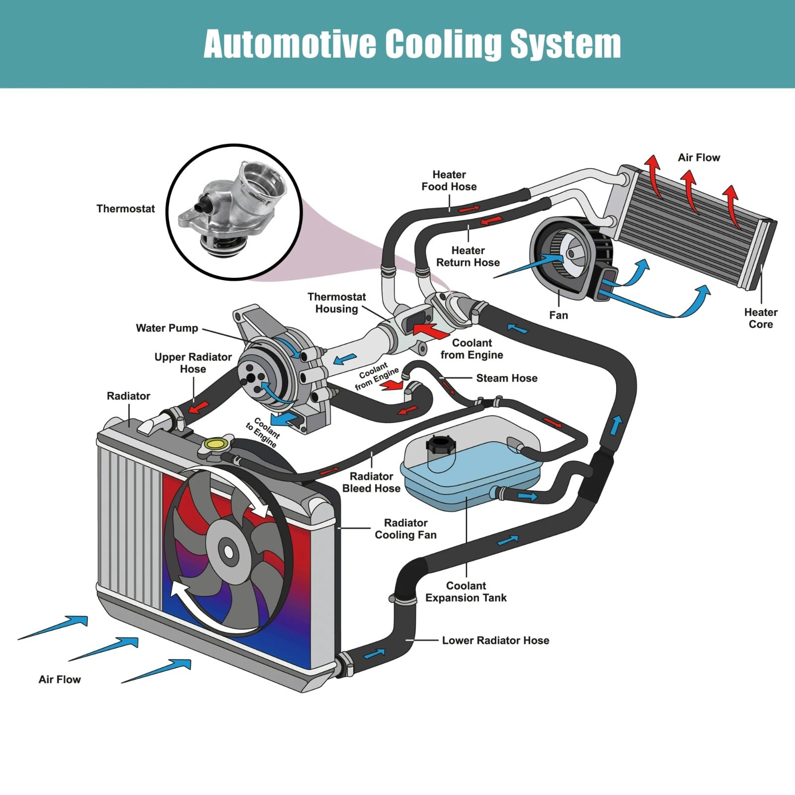 Liquido di Raffreddamento per Auto E300 2008-2009 TM45100D 2722000115 2722000015 4834100D CTA0020 2722000415 Alloggiamento del Liquido di Raffreddamento del Motore