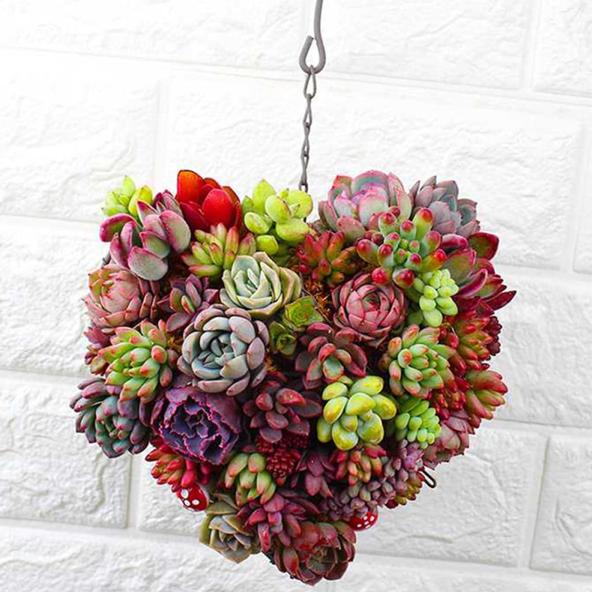 BESTonZON 2 Pezzi Fioriere Sospese a Forma di Cuore in Ferro Argento per Decorazione Interni e Giardino per Piante Verdi Fresche