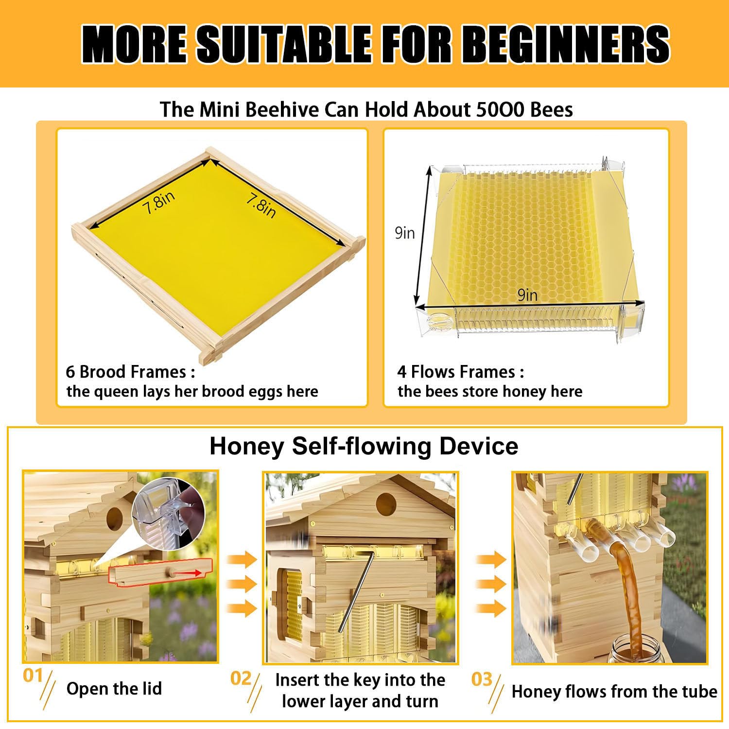 Bienenstock Starter Kit mit selbstfließender Holzbox, Beobachtungsfenster und Honigauslauf für Imkerei und Gartenbestäubung, ideal für Anfänger