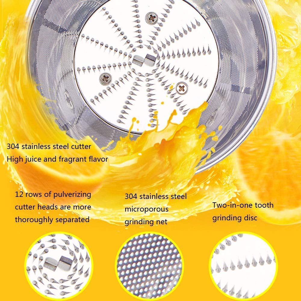 ERoomQ Juicer Machines,Slow Masticating Juicer Extractor Cold Press Juicing Machine for Fruits and Vegetables, Stainless Steel Wide Mouth High Juice Yield, Extract Healthy Nutrition