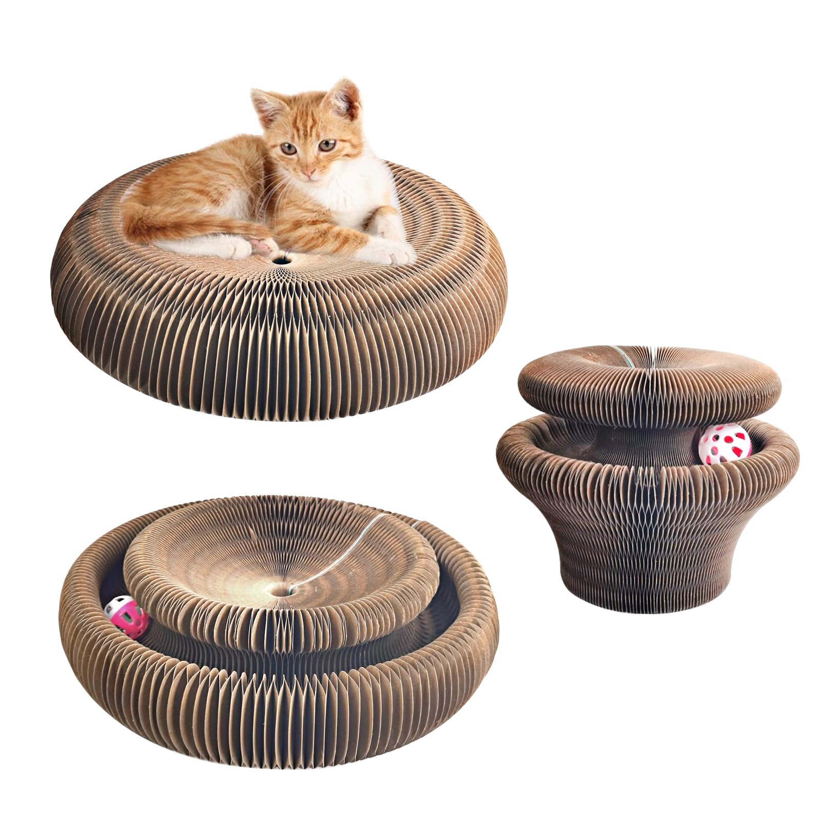 Leisuremix Magic Organ Cat Scratching Board & Interactive Toy Set - Durable Cardboard Scratcher with Scratching Ball for Indoor Cats - Mental &