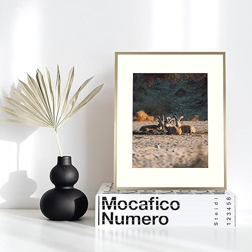 Vista 286 de Frametory - Marco de aluminio de 11 x 14 para fotos de 8 x 10 (en pulgadas), con paspartú marfil, de pared, con gancho de sierra, pestañas Bronce