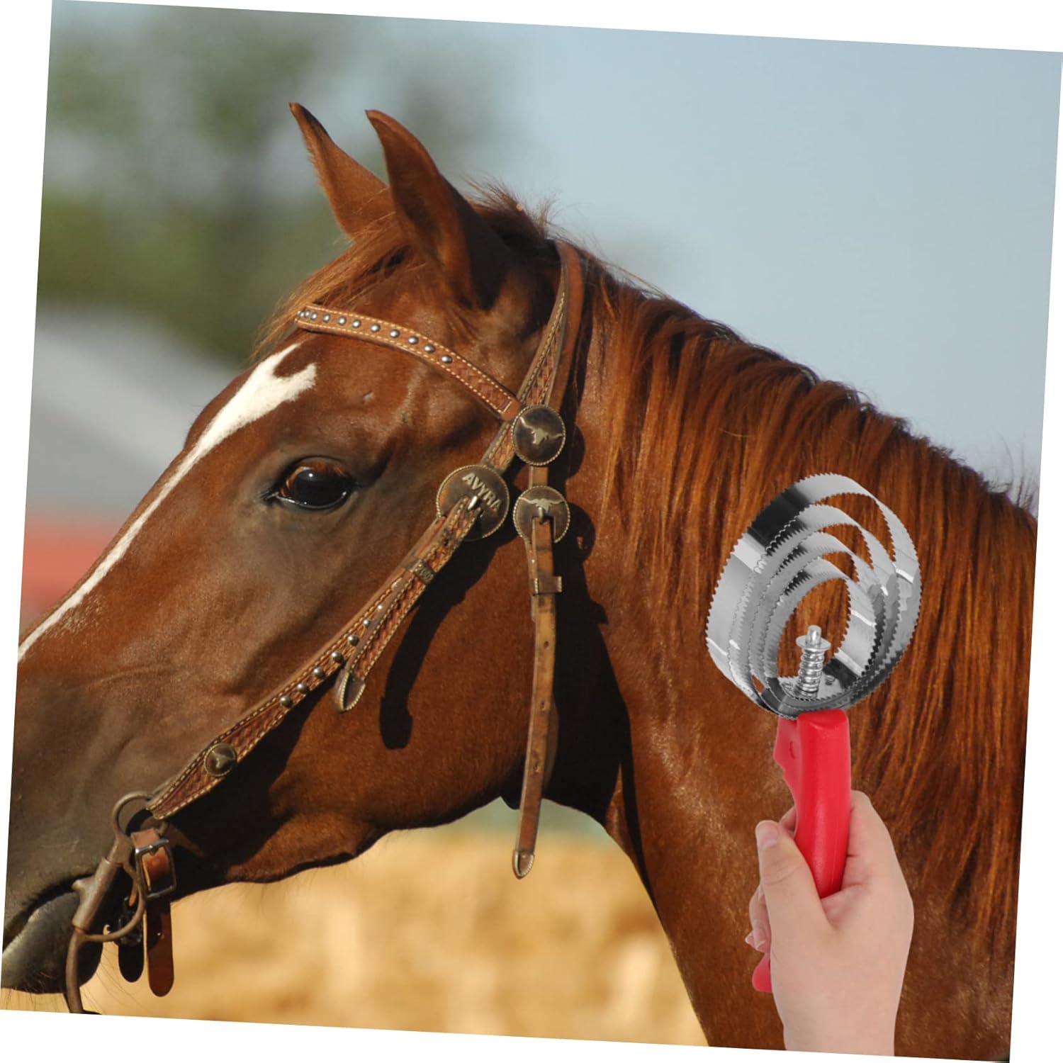 GALPADA 2Pcs Stainless Steel Horse Grooming Brush Set Adjustable Shedding Tool and Cattle Sturdy Hair Remover for Daily Use Comfortable to Hold Design Random Color