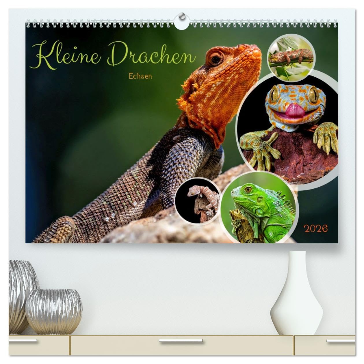 Kleine Drachen - Echsen (hochwertiger Premium Wandkalender 2026 DIN A2 quer), Kunstdruck in Hochglanz: Eine Welt voller Magie (CALVENDO Tiere)