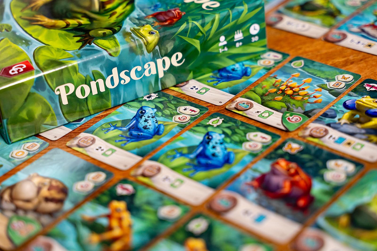 Capstone Games Pondscape - Gioco di carte strategico per adulti e ragazzi, 2 giocatori | o altro - Gioco di carte asimmetrico, misterioso, basato sul ruolo e tematico per il divertimento notturno e in famiglia