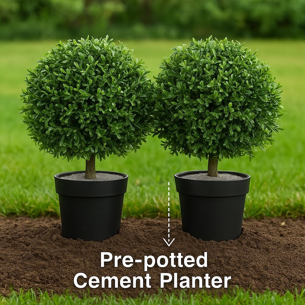 24" H x 17" W Artificial Boxwood Topiary Ball – Realistic UV-Resistant Artificial Shrub with Weighted Pot, Set of 2 – Indoor/Outdoor Year-Round Green Décor for Porch, Garden, Patio - Image 3