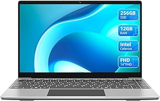 JUMPER Ordenador Portatil, 12GB DDR4 256GB SSD, Intel Procesador de Cuatro Núcleos, PC Portatil 14 Pulgadas IPS Full HD, 1920 * 1080, 2.4G/5G WiFi, Type-C, Bluetooth4.0, USB 3.0, Gris