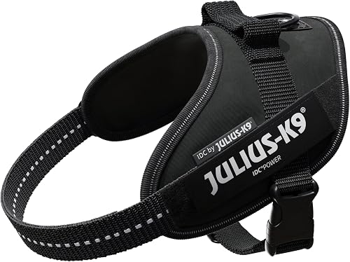 JULIUS-K9, 16IDC-P-M, IDC Powerharness, dog harness, Size: Mini, Black