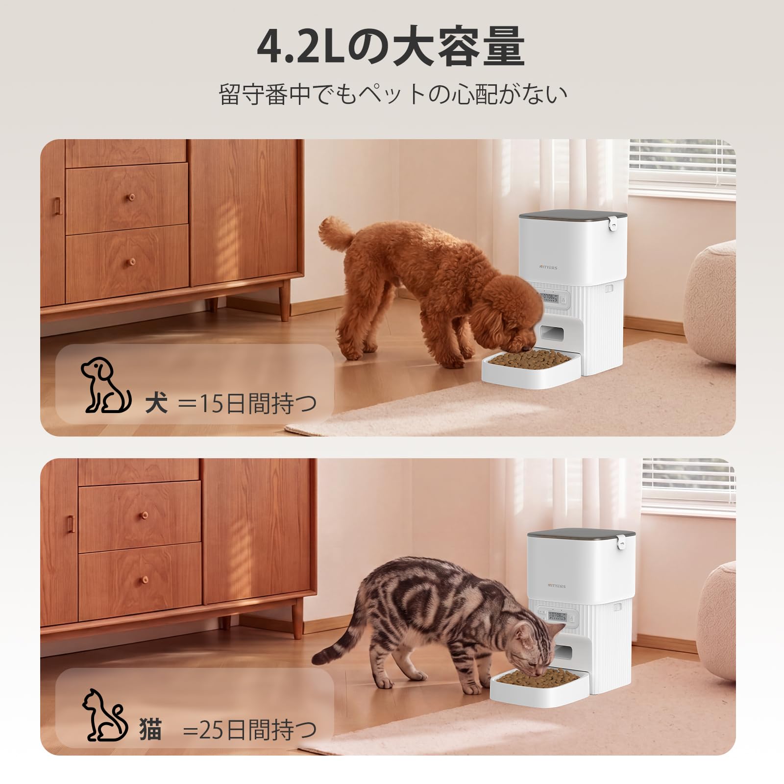 犬と猫 切手セット フジャイラ 使用済 547 ハンガリーの使用済み切手 犬 猫 - メルカリ