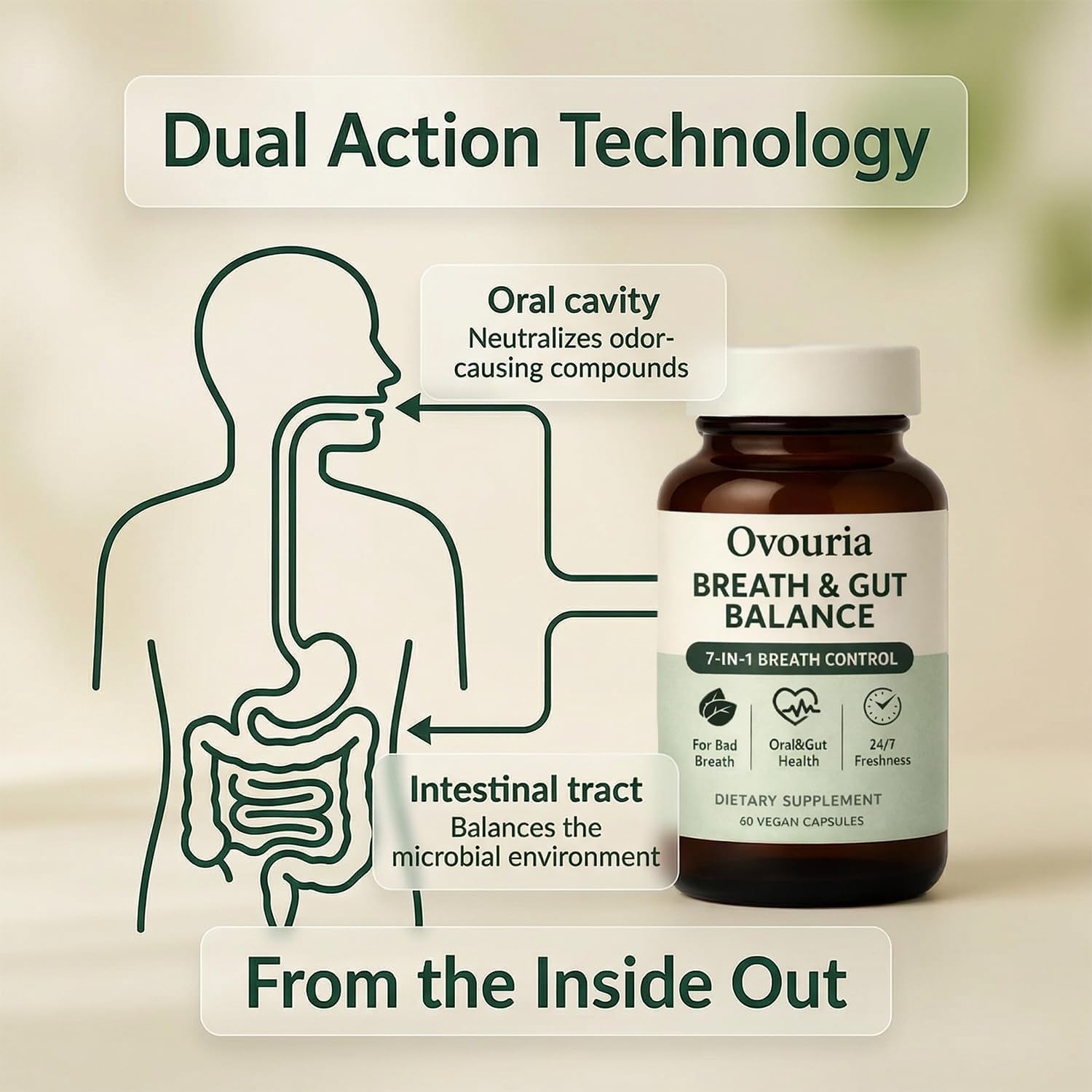 Ovouria Breath and Gut Balance, 7-in-1 Advanced Formula with Magnesium Citrate, Zinc Gluconate, Probiotic Blend, Fresh Breath, Chronic Halitosis & Gut Health, 60 Capsules