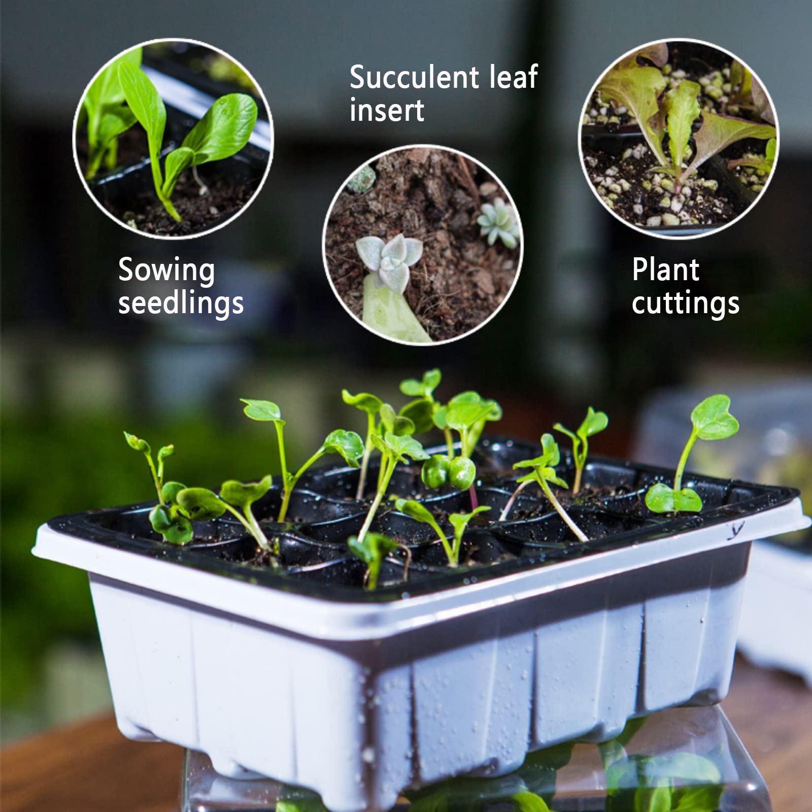 6 Pièces Bac à semis, Mini Serre pour Plantes Intérieure Plateau de Germination à 12 cellules Pépinière Boîte Propagateur avec Couvercle pour Jardin Croissance Semence