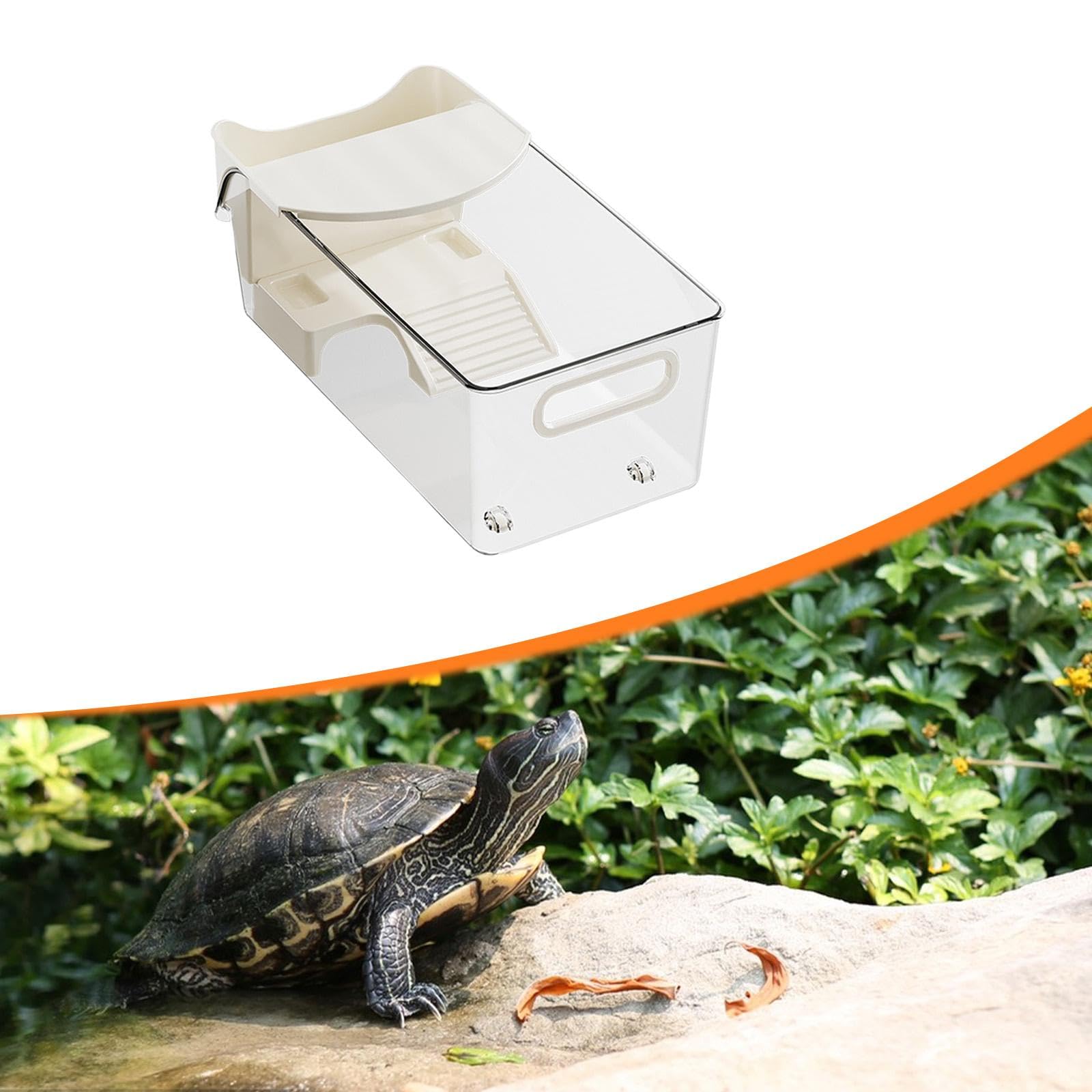 MagiDeal Terrario per tartarughe, contenitore per l'alimentazione di animali acquatici/terrestri, riposante, con fioriera e piattaforma, 37x19x14 Centimetri