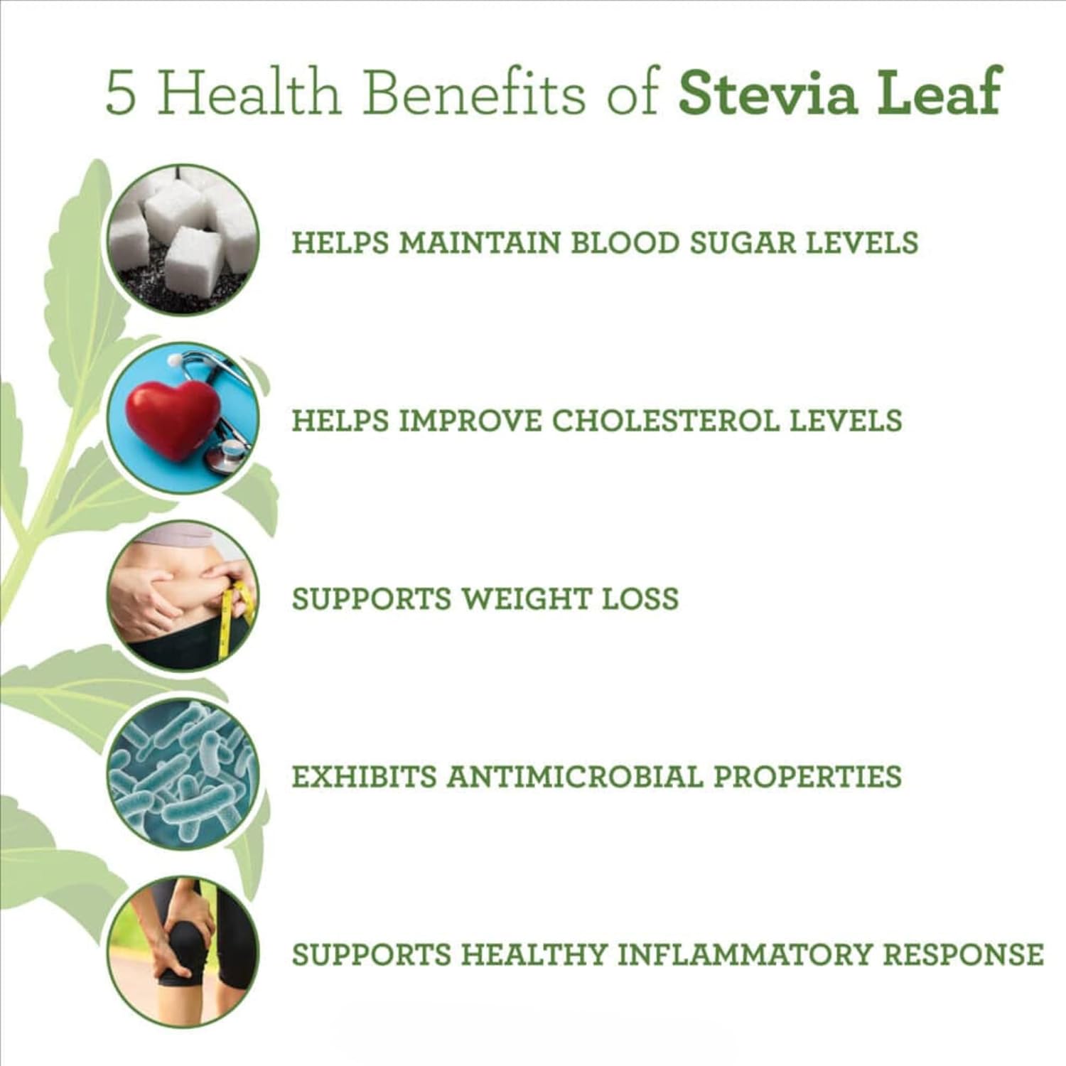 Buy Now Nisarg Organic Farm Stevia Leaf Powder Pure Stevia Leaves Po... 3 Buy Now Nisarg Organic Farm Stevia Leaf Powder Pure Stevia Leaves Po...