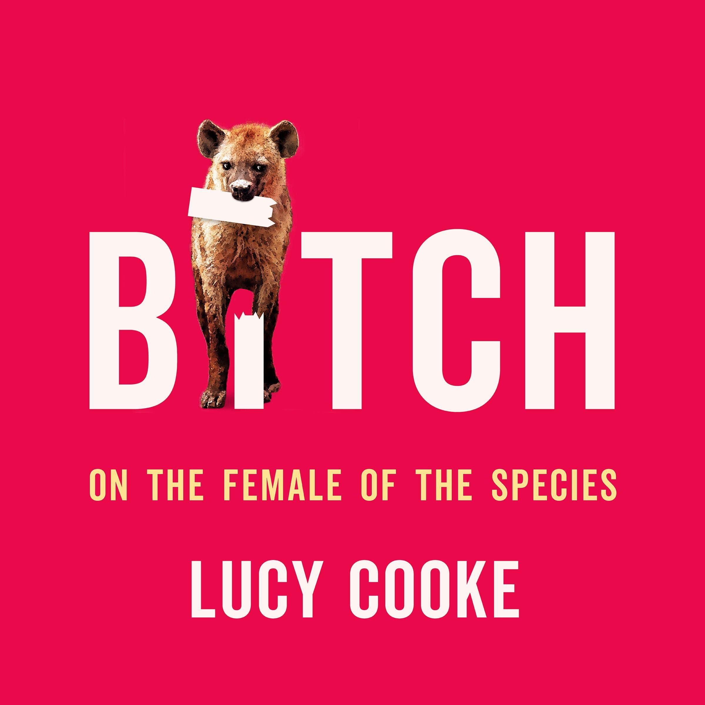Cover art for Bitch