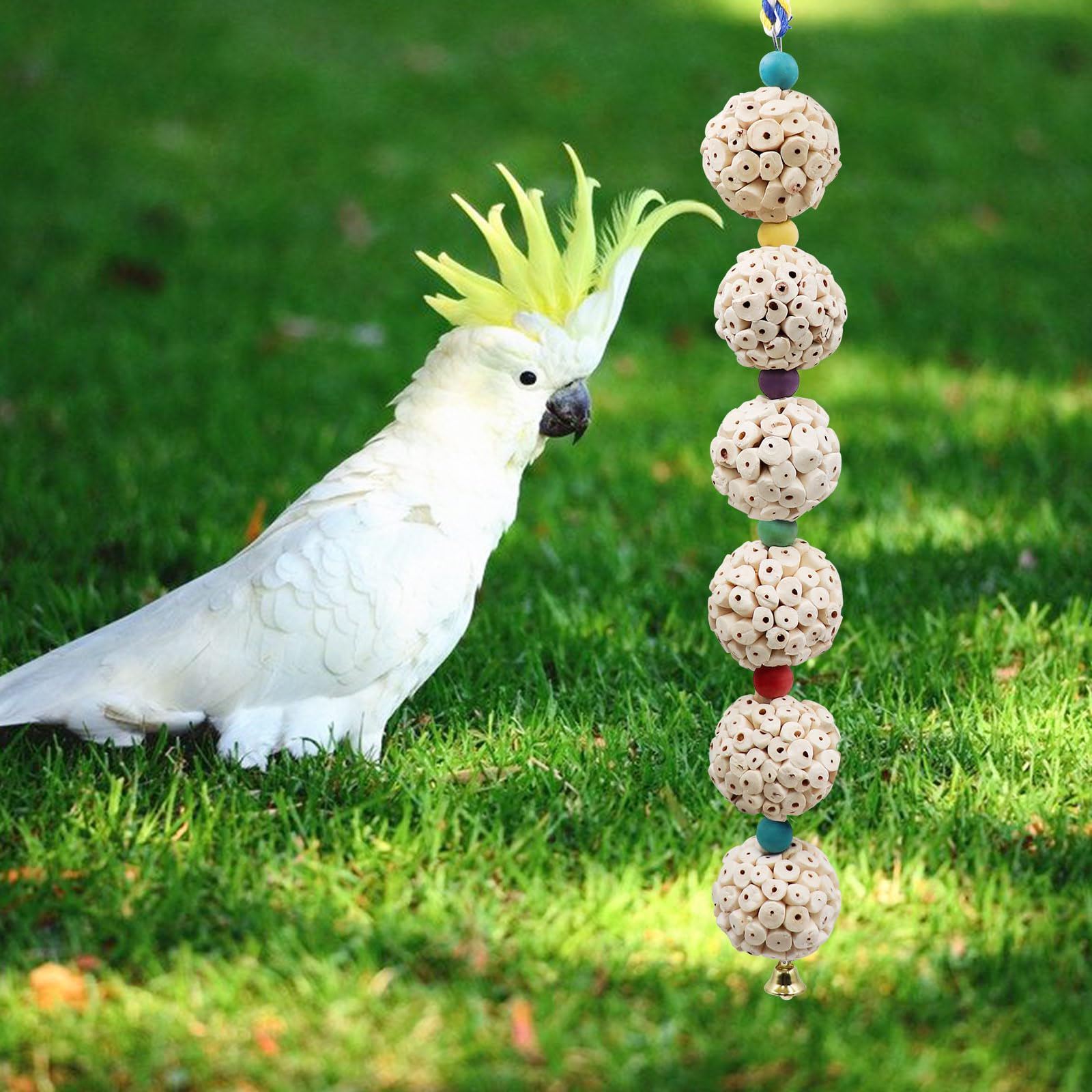 Bird Chewing Toy, Bird Sola Ball Toy with Bell, Bird Cage Accessories, Cage Toys for Cockatiel Parakeet Parrot Budgies Rat Hamster Chinchilla Rabbit Bunny African Grey - image 2