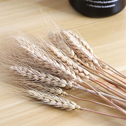 Miniatura 3 de Tallos de trigo, flores secas con tallos, ramo de trigo dorado artificial, 100 piezas, flores naturales para otoño, arreglo de bricolaje, decoración