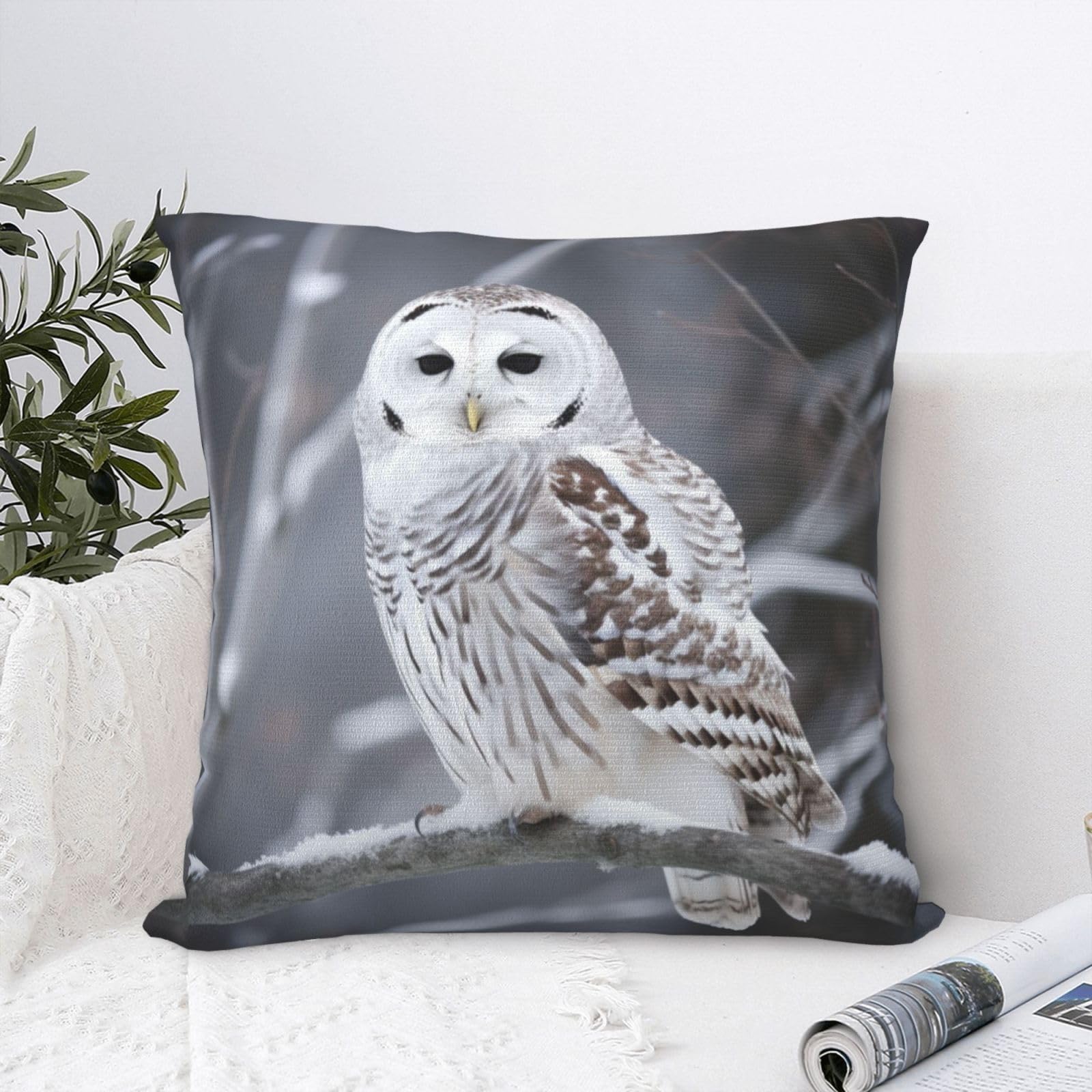 FodPand Luxury Velvet Throw Pillow Covers 24"x24" Super Soft Decorative Pillow Cases - Winter White Owl Pillowcases Modern Lumbar Cushion Cases for Couch Sofa Bed Pillow Shams