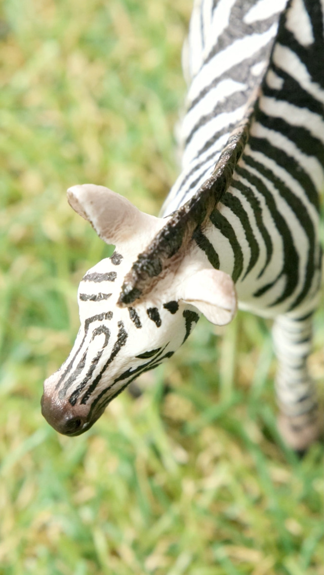Amazon.com: Schleich Wild Life, Animal Figurine, Animal Toys for
