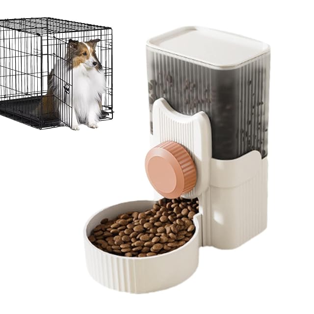 comida para conejos, cuelga dispensadores automáticos comida y agua para gatos
