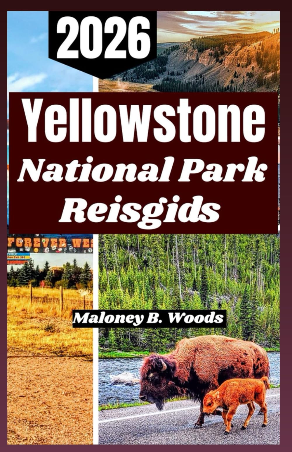Yellowstone National Park Reisgids 2026: Praktische Reishandboek voor Wildlife Paden Verborgen Wonderen en Seizoensavonturen
