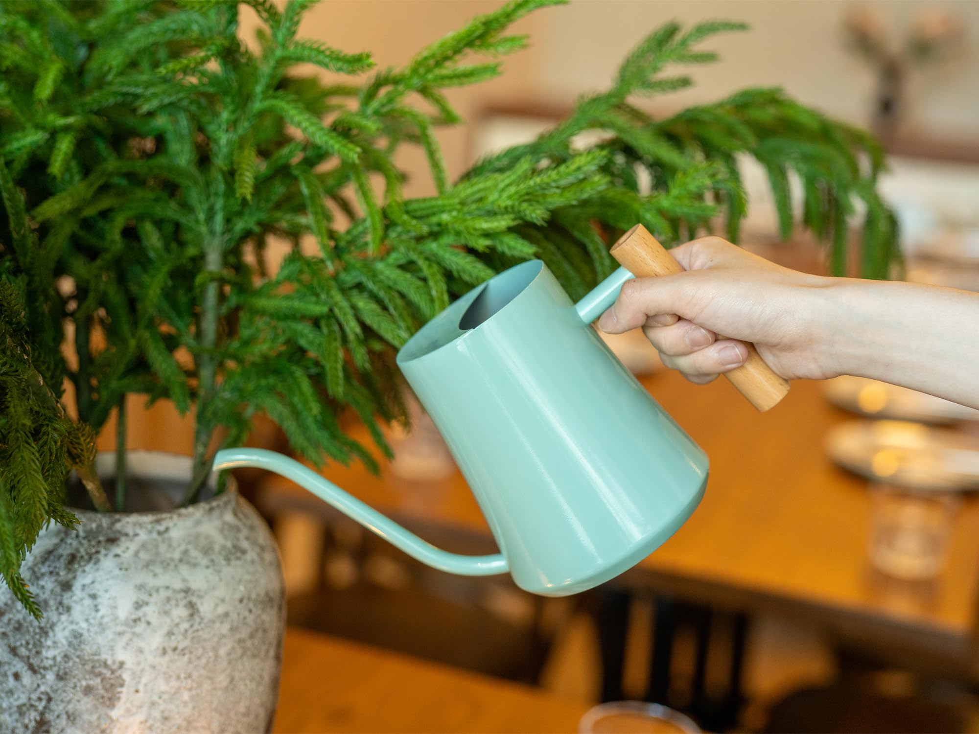 Gießkanne für Zimmerpflanzen, Minzgrün, 1000 ml, niedliche Gießkanne, dekorativer kleiner Matal-Gießtopf für Haus, Bonsai, Pflanzen, Garten, Blume, drinnen und draußen