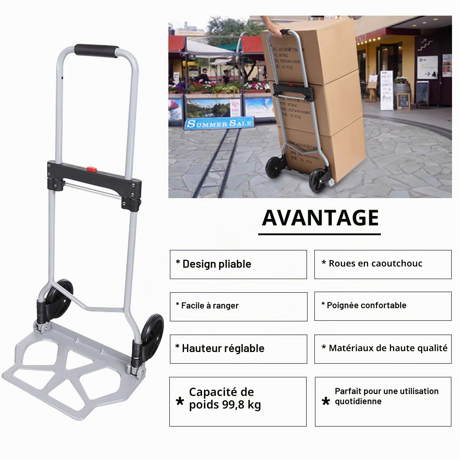 Diable Pliable, Charge Max de 100 kg, Chariot de Transport, Chariots de manutention pour Industriel/Voyage/Shopping, Argent