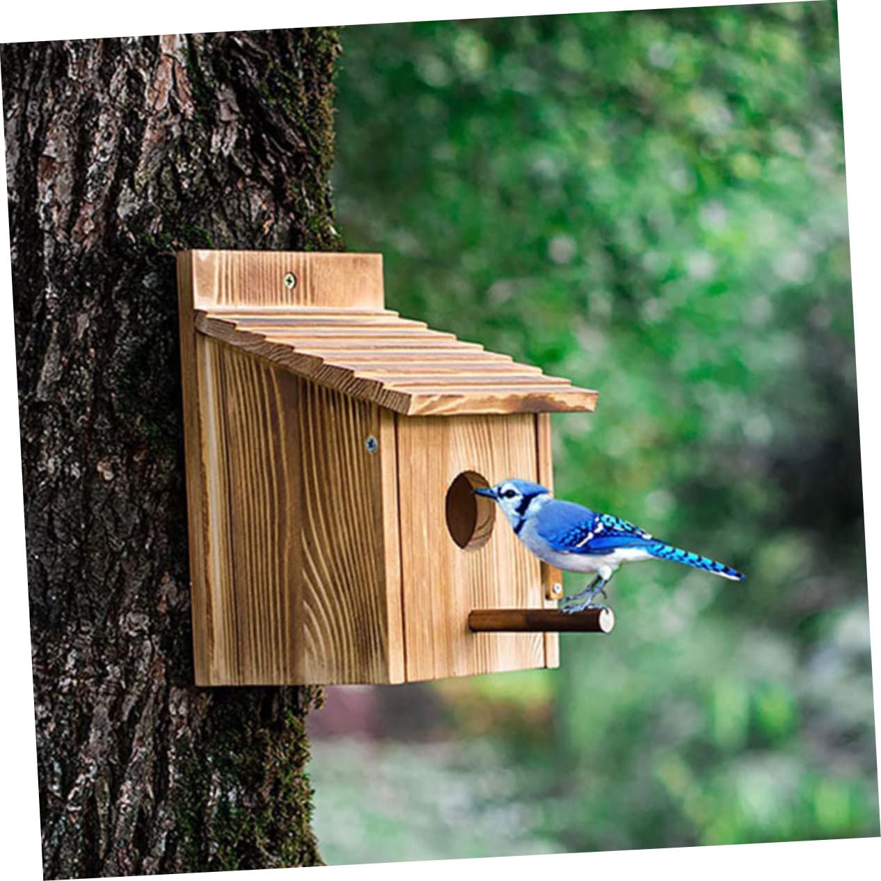 Abaodam Casetta Nido per Uccelli in Legno da Giardino, Marrone | Piccolo Rifugio a Forma di Casa, per Uccelli Piccoli, Uso in Giardino nella Gabbia