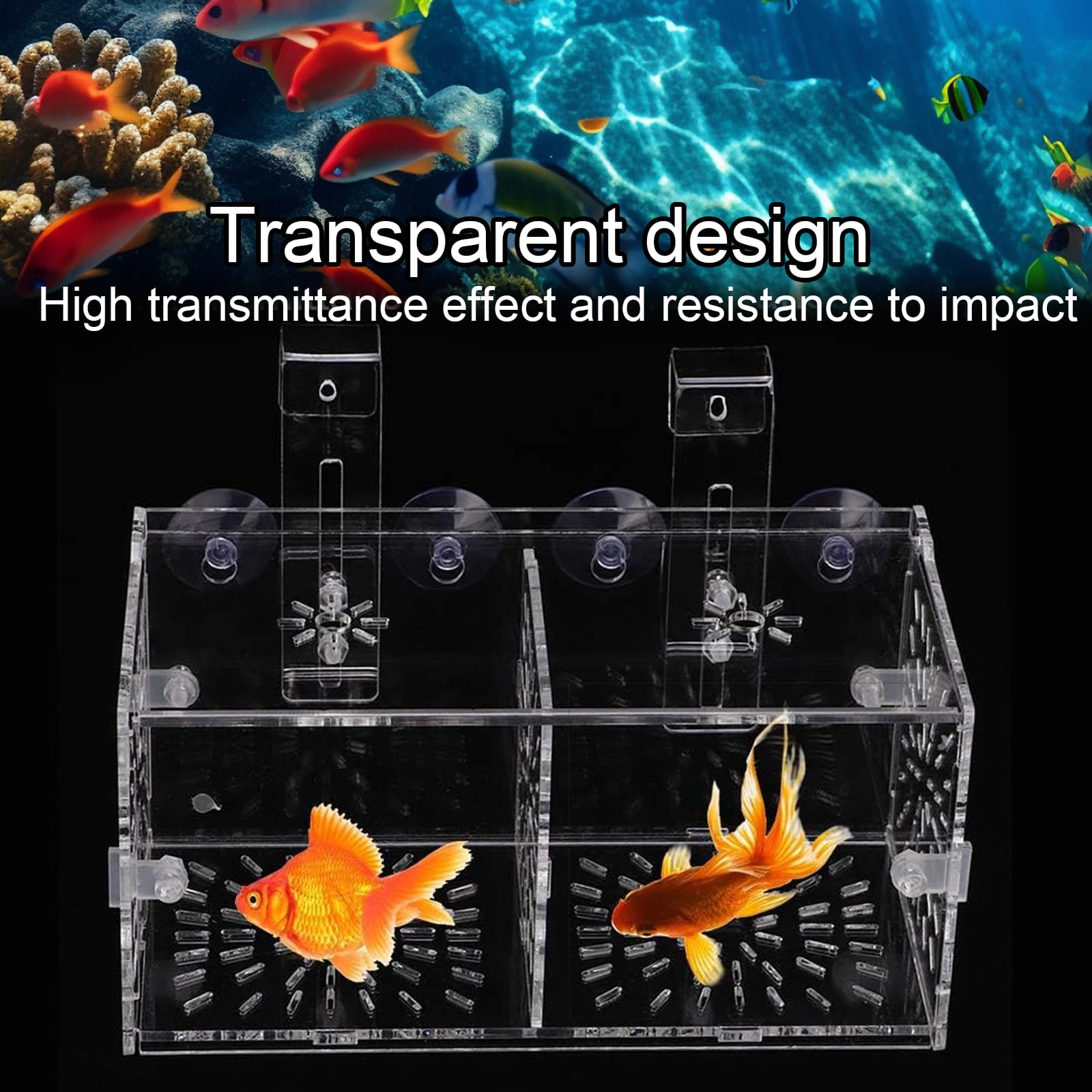 Sala parto guppy Sala Parto Pesci Acquario Salas Parto Acquario Piccola Scatola di Allevamento per Acquari può Essere utilizzato per L'isolamento la Schiusa la Piscicoltura ecc
