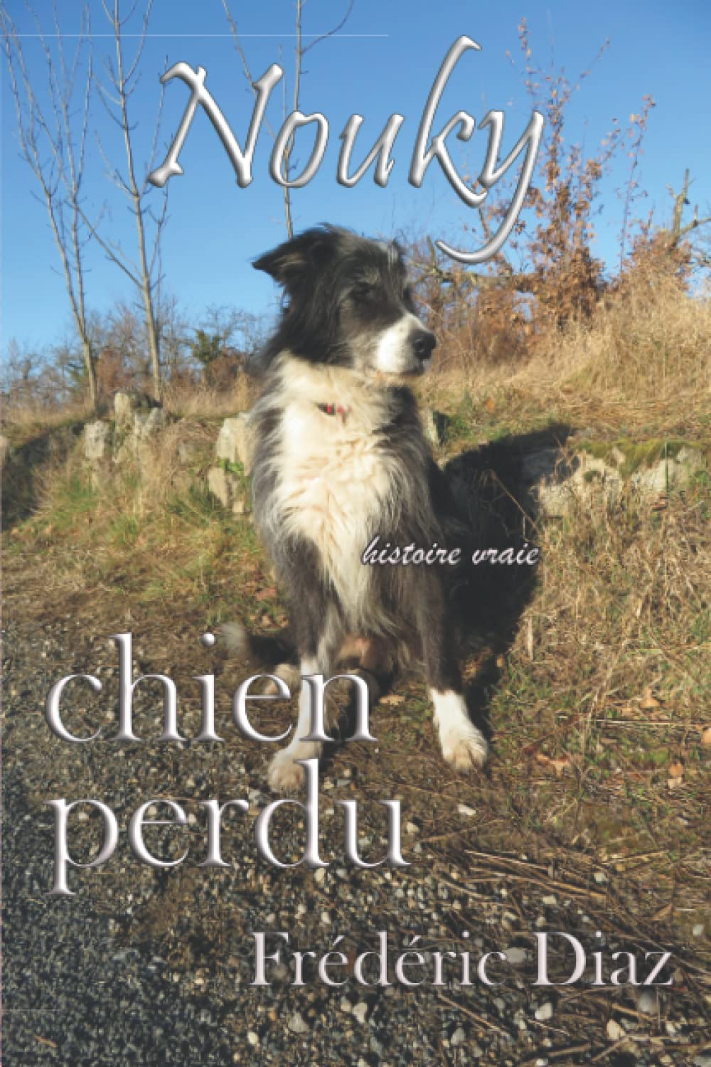 Introducir 100+ imagen un chien perdu peut il retrouver sa maison fr.thptnganamst.edu.vn
