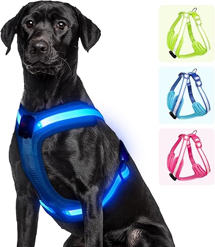 PZRLit Arnés para perro con luces LED, recargable, sin estrangulamiento, con luz solar, chaleco impermeable para perros medianos y grandes y XL,