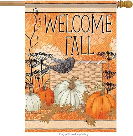 Amazon.com : Carson Flag Trends Fall Crow Welcome House Flag - 28