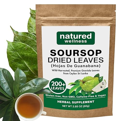 Hojas secas de guanábana de guanábana premium, más de 200 hojas de guanábana, hoja de graviola silvestre, hojas sueltas de té de hierbas 100%