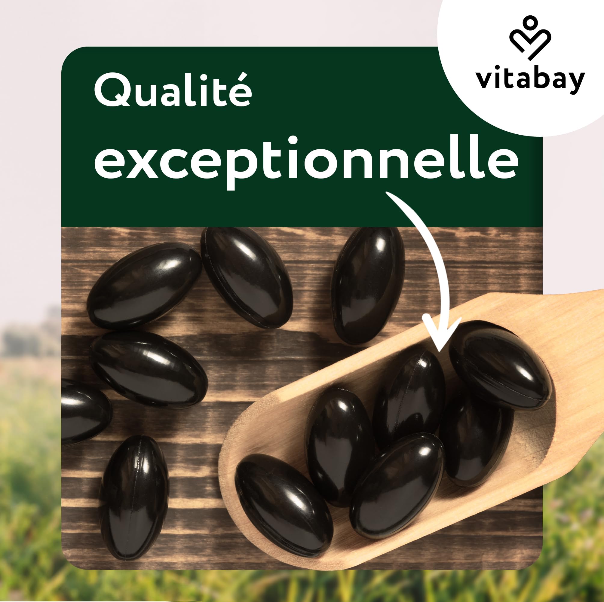 Vitabay Astaxanthine 12 mg hautement dosée – 90 capsules softgel véganes – testée en laboratoire & sans additifs – naturellement issue d’extrait d’algue Haematococcus pluvialis – réserve pour 6 mois