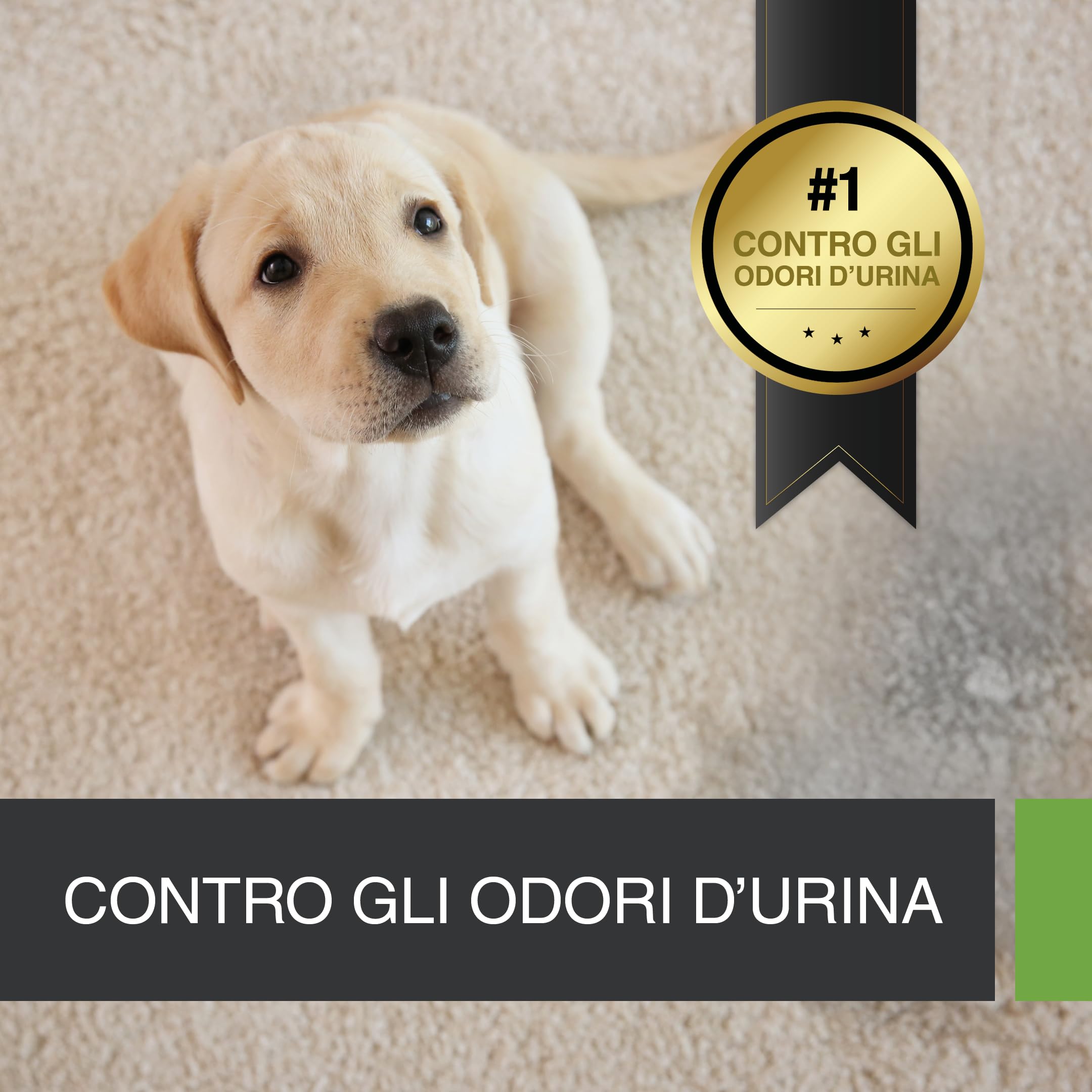 UF2000 4Pets Eliminatore di Odori di Urina 2X 2500ml | Ricarica | Senza Profumo | Togliere Odore Urina | 100% Biologico | Detergente Enzimatico per Cani, Gatti e Piccoli Animali