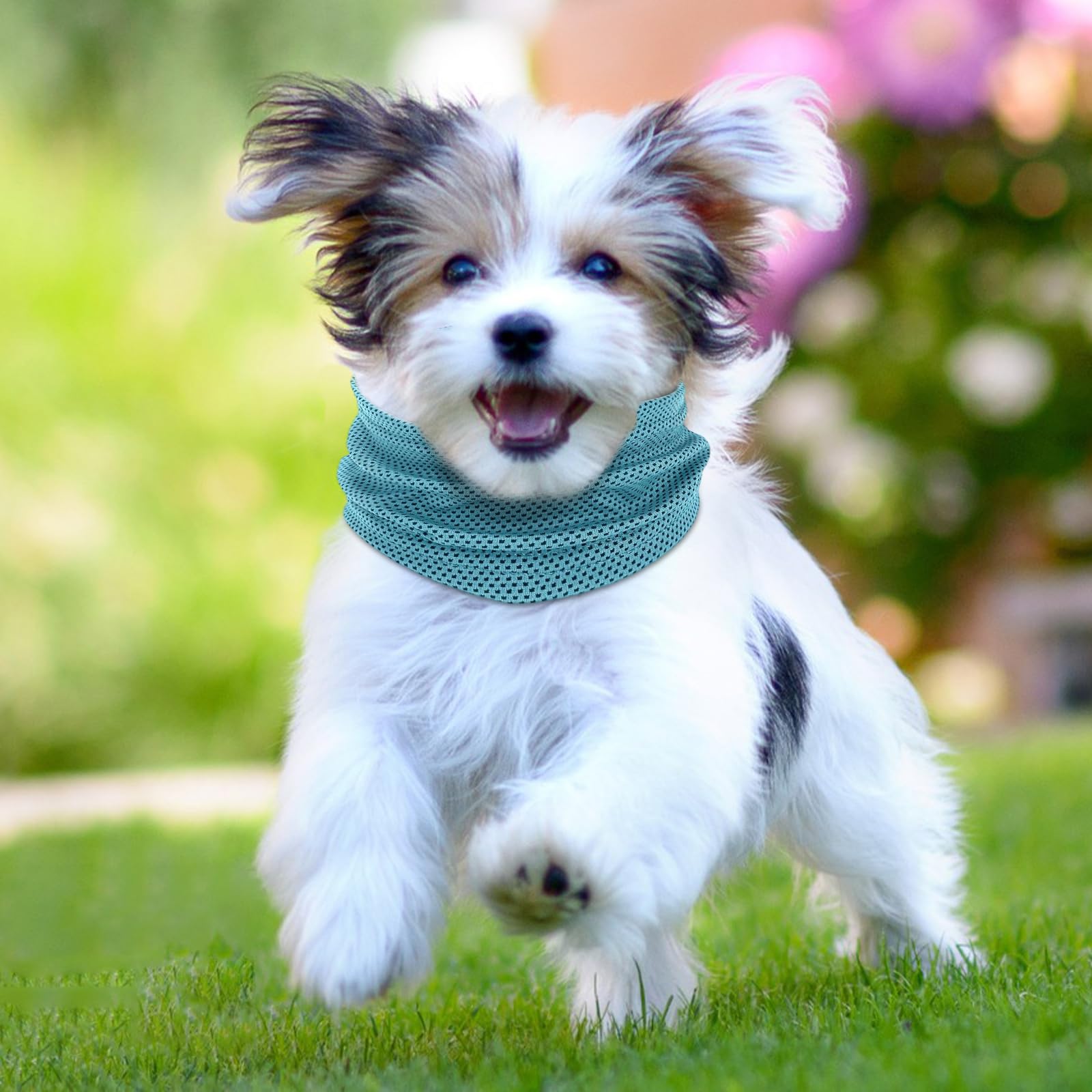 Collare di Raffreddamento per Cani, Collare Rinfrescante per Cani, Bandana Refrigerante per Canis, Collares Refrigerante Cane per Rinfrescare gli Animali Domestici in Estate (Blu, L)